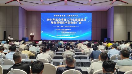 推進(jìn)大規(guī)模設(shè)備更新 化工魯企接受綠色診斷 技術(shù)推廣