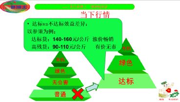 撫松縣人參產(chǎn)業(yè)重大技術(shù)協(xié)同推廣項(xiàng)目培訓(xùn)會開講 科技賦能，助力人參產(chǎn)業(yè)高質(zhì)量發(fā)展