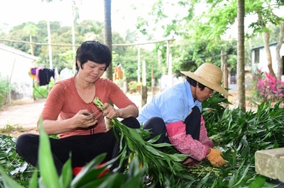 海口美蘭區(qū)脫貧戶(hù)王康麗 只有勤勞才能致富