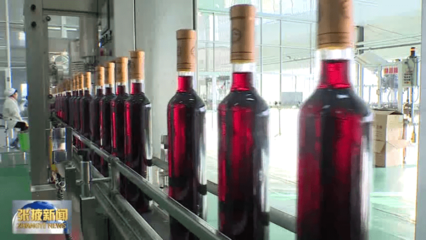 【視頻】高臺:力促工業(yè)經(jīng)濟提質(zhì)增效